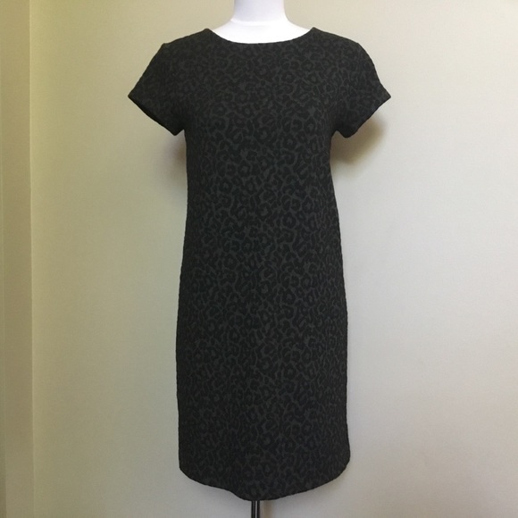 LOFT black gray Leopard shift Knit S/S Dress XS - Picture 6 of 7